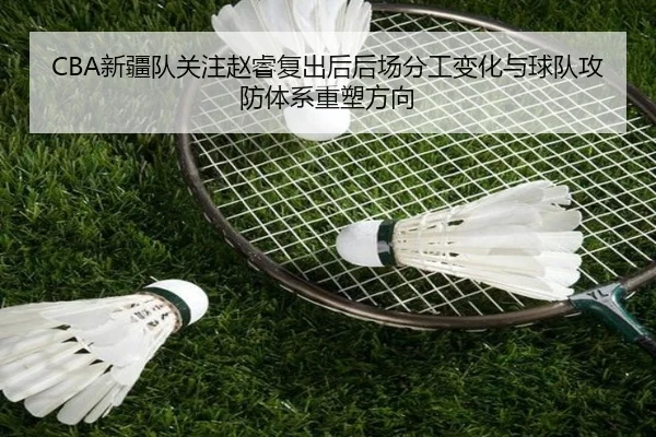CBA新疆队关注赵睿复出后后场分工变化与球队攻防体系重塑方向