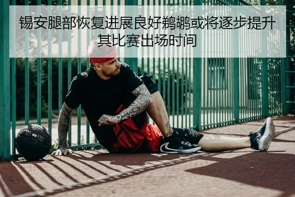 锡安腿部恢复进展良好鹈鹕或将逐步提升其比赛出场时间